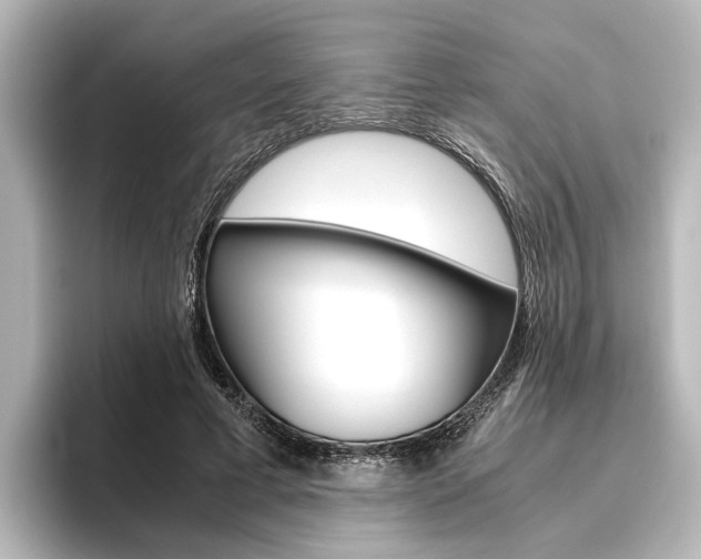 X0000096420593200801241005