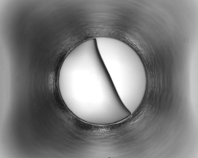 X0000096420594200801241005
