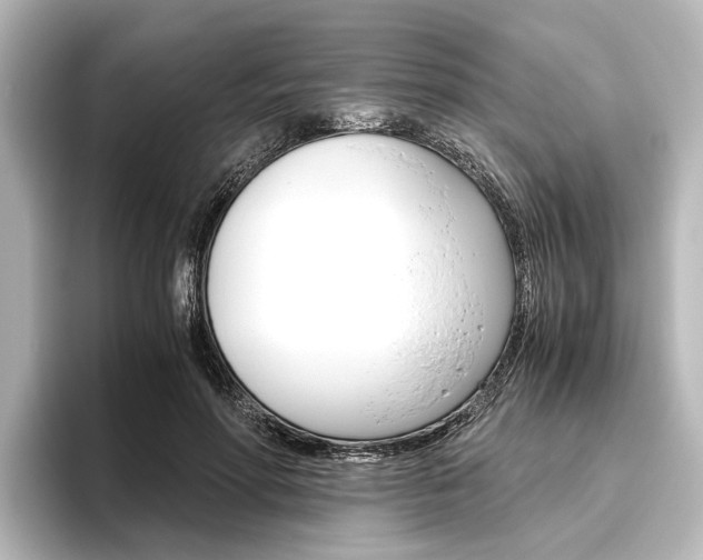 X0000096420598200801241005