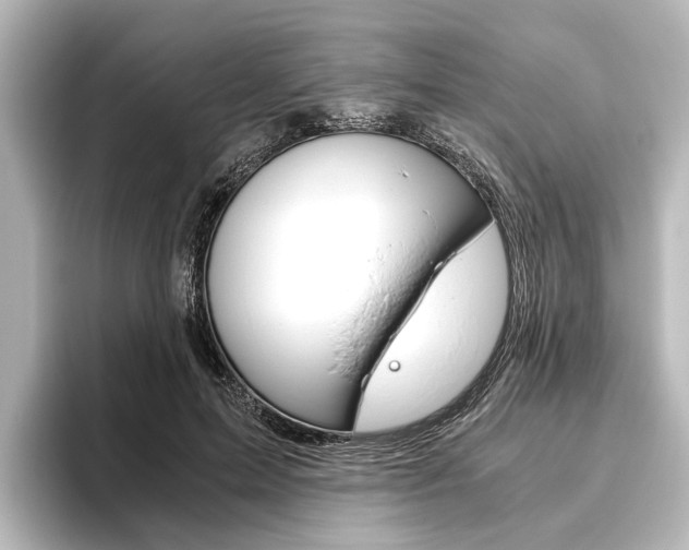 X0000096420599200801241005