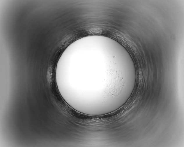 X0000096420600200801241005