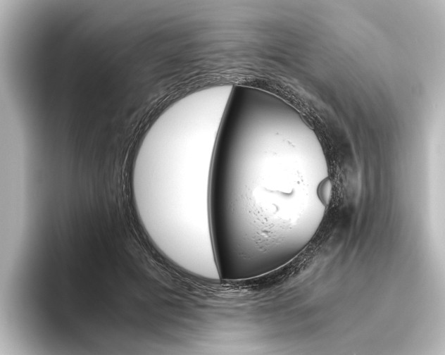 X0000096420601200801241005