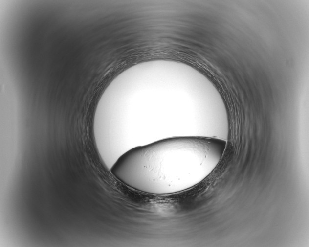 X0000096420603200801241005