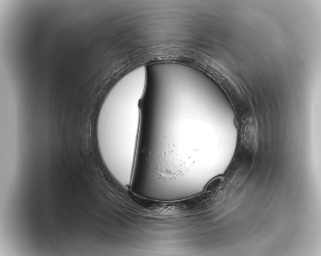 X0000096420604200801241005