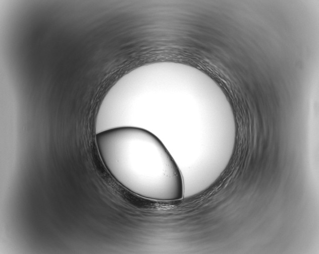 X0000096420605200801241005