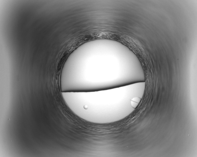 X0000096420607200801241005