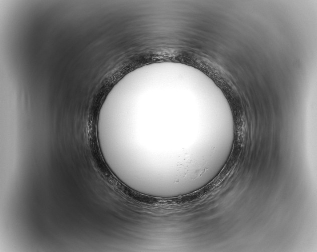 X0000096420608200801241005