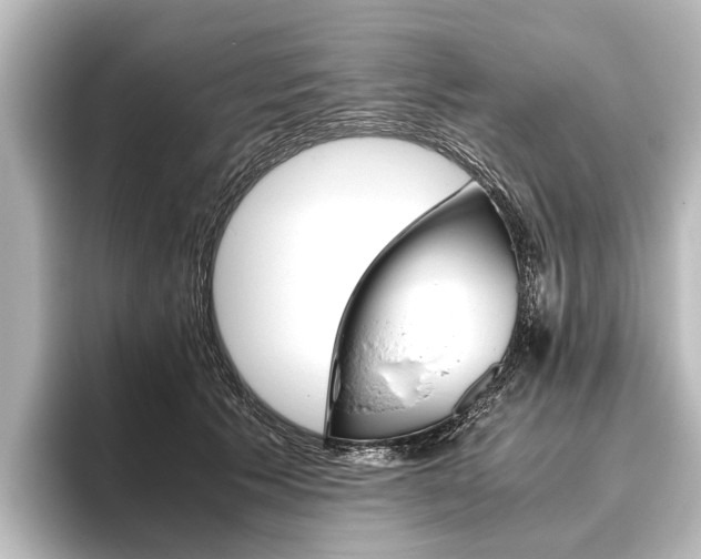 X0000096420609200801241005
