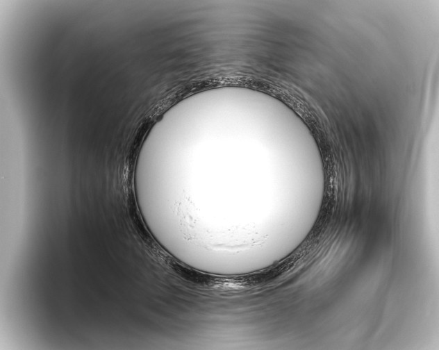 X0000096420610200801241005