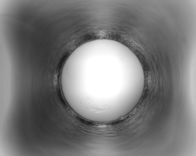 X0000096420611200801241005