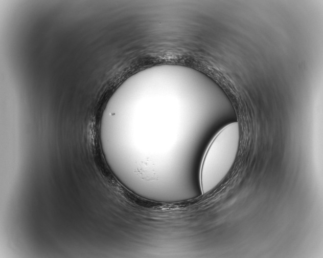 X0000096420612200801241005