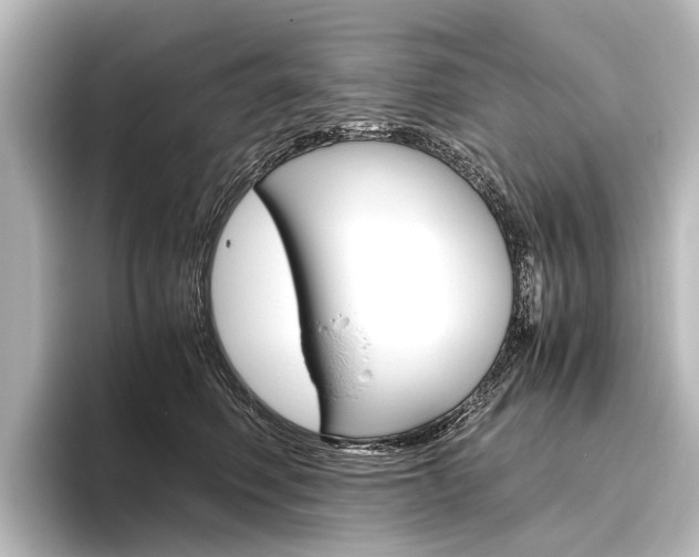 X0000096420614200801241005