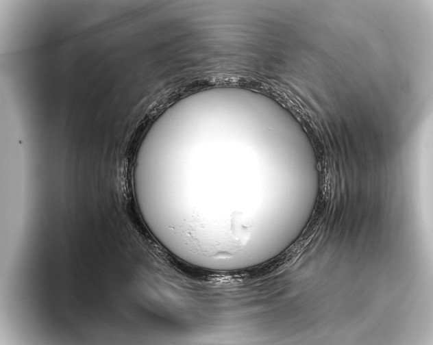 X0000096420616200801241005