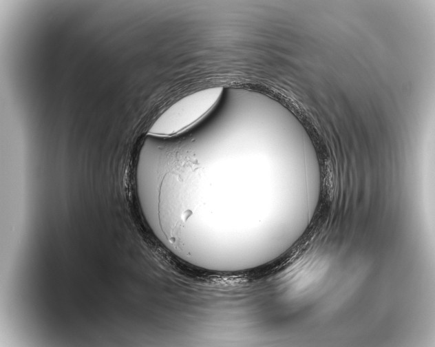 X0000096420619200801241005