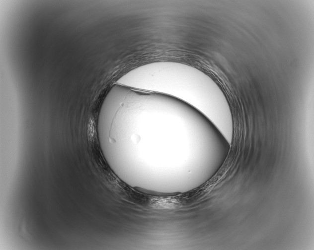 X0000096420621200801241005