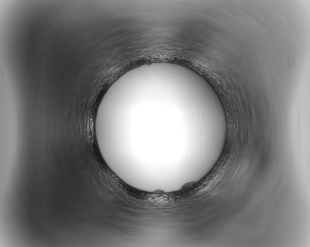 X0000096420624200801241005