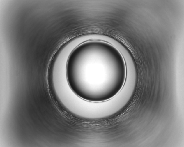 X0000096420626200801241004