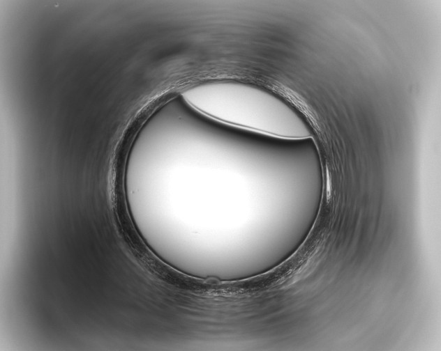 X0000096420627200801241004