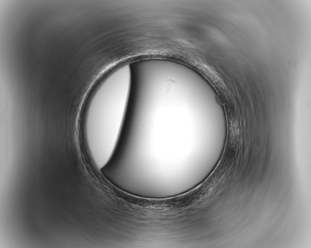 X0000096420628200801241004