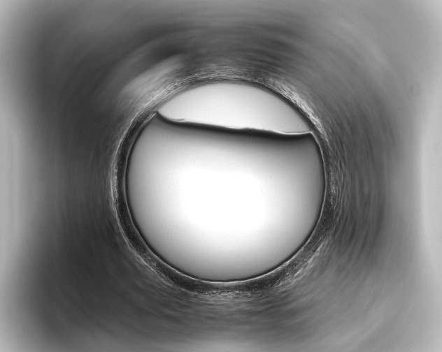 X0000096420629200801241004