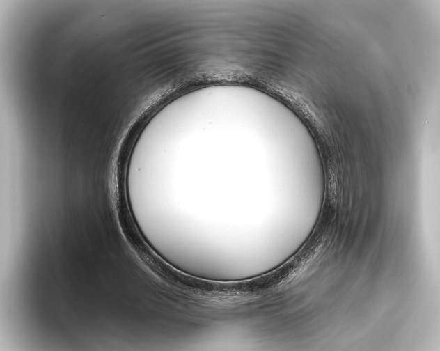 X0000096420630200801241004