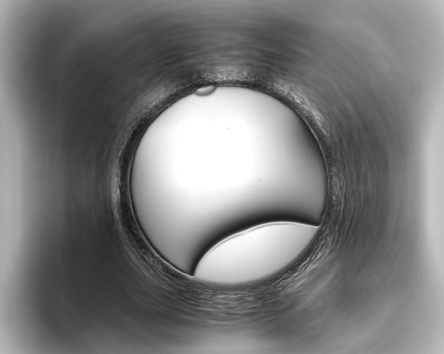 X0000096420631200801241004