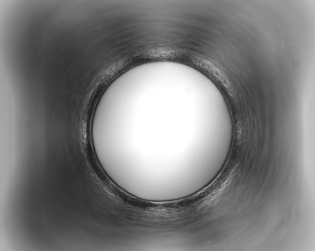 X0000096420633200801241004