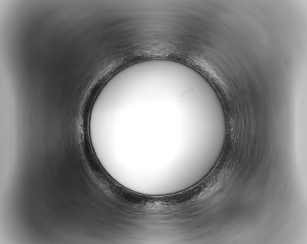 X0000096420634200801241004