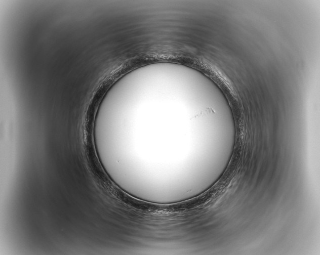 X0000096420635200801241004
