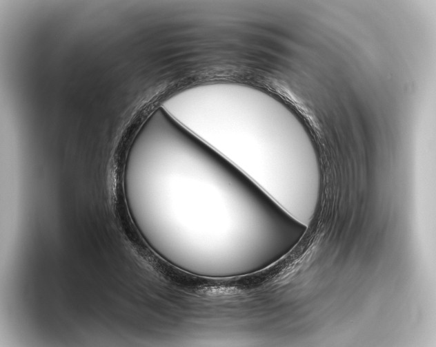 X0000096420637200801241004