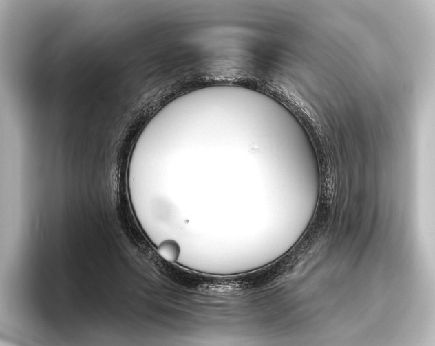 X0000096420639200801241004