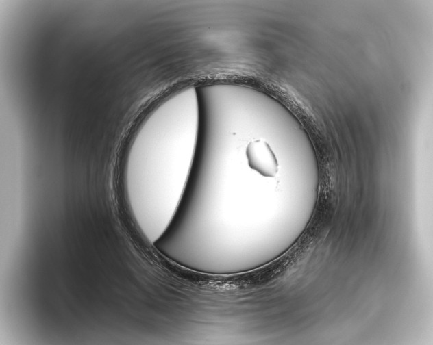 X0000096420640200801241004