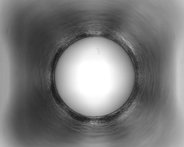 X0000096420641200801241004
