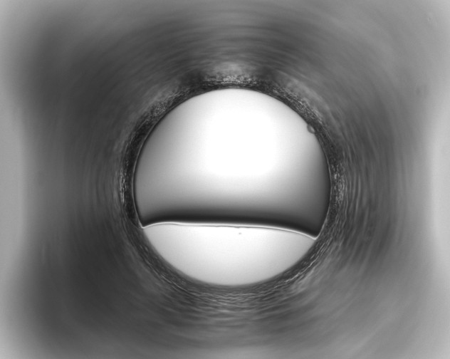 X0000096420643200801241004