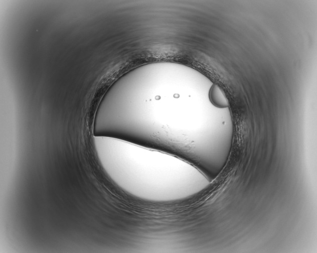 X0000096420644200801241004