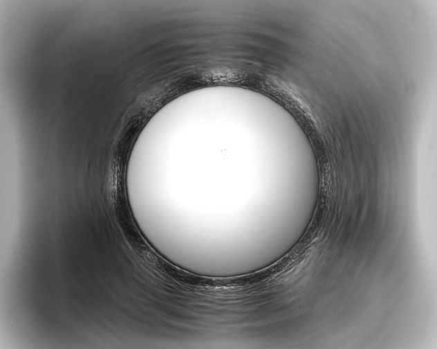 X0000096420645200801241004