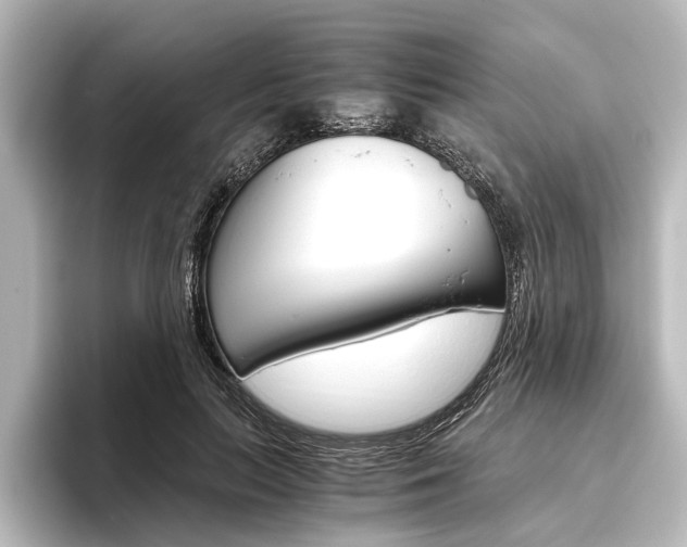 X0000096420647200801241004