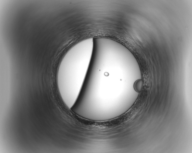 X0000096420648200801241004