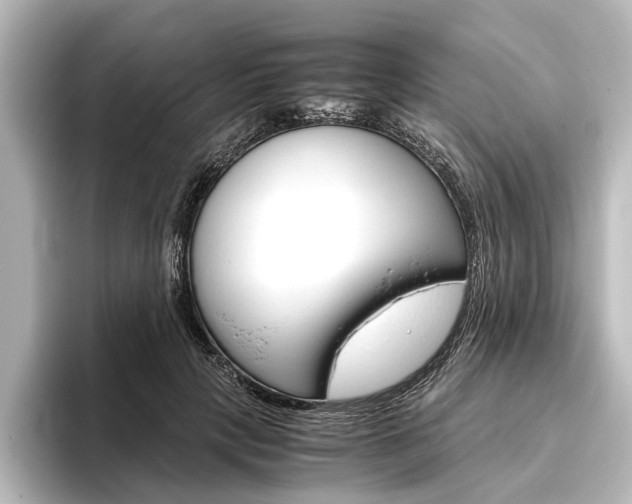 X0000096420649200801241004