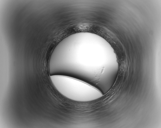 X0000096420651200801241004