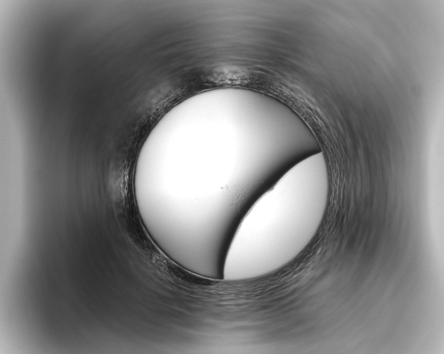 X0000096420652200801241004