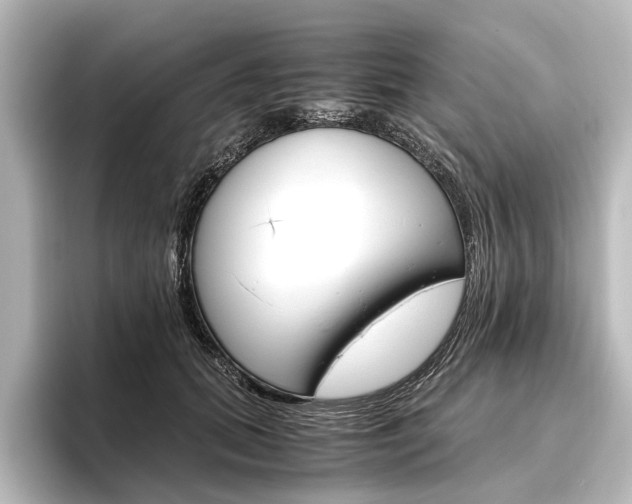 X0000096420655200801241004