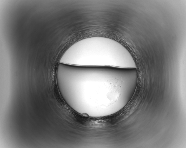 X0000096420657200801241004
