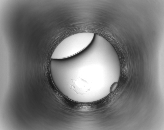 X0000096420658200801241004