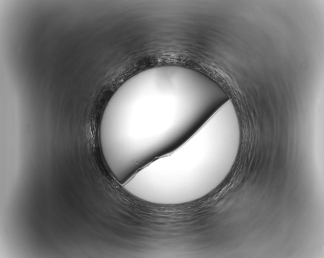X0000096420661200801241004