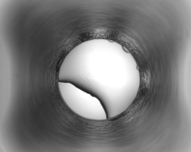 X0000096420663200801241004