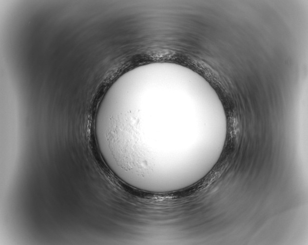 X0000096420664200801241004