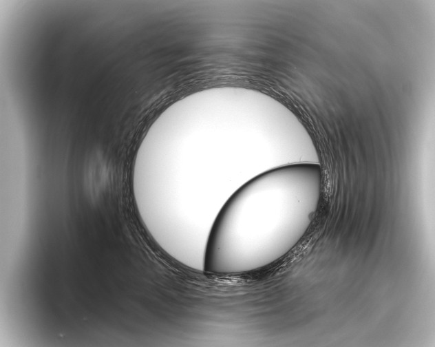 X0000096420666200801241004