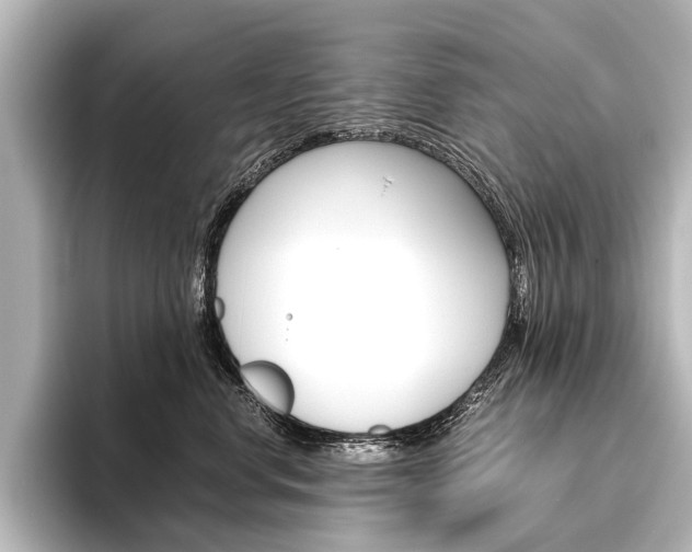 X0000096420668200801241004