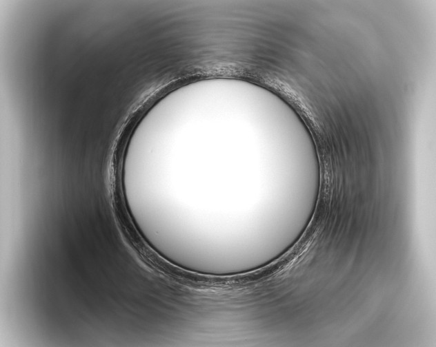 X0000096420674200801241004